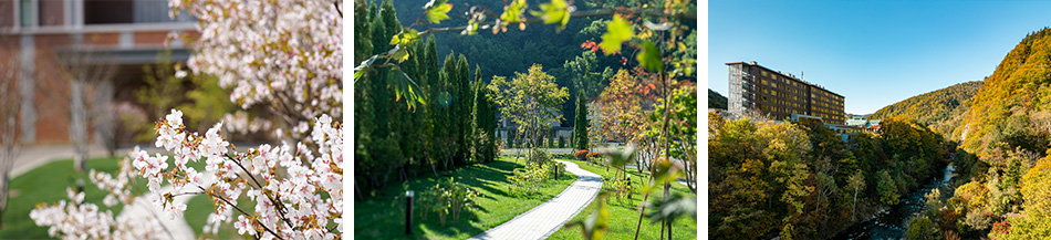 定山渓の自然の風景