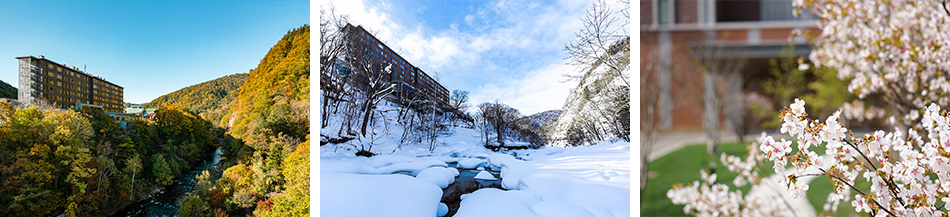 定山渓の自然の風景